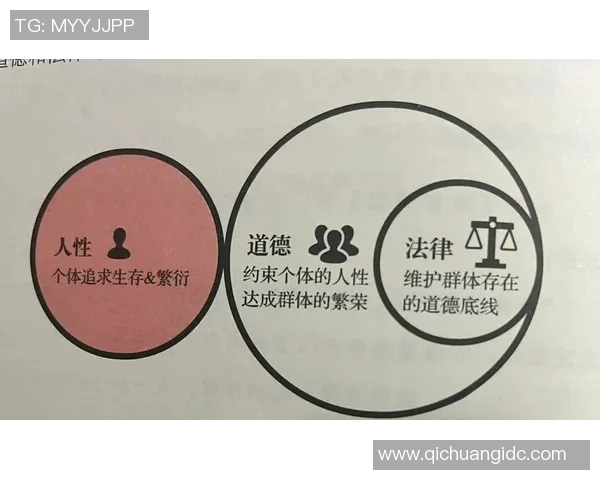 坦珀利与防御正义的较量揭示法律与道德的深刻冲突与思考